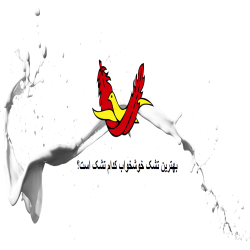 بهترین مارک تشک خوشخواب